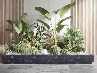 Indoor Decorative Garden Arrangement with Cacti Large Green Leaves and Stones on Black Marble Base 3d model