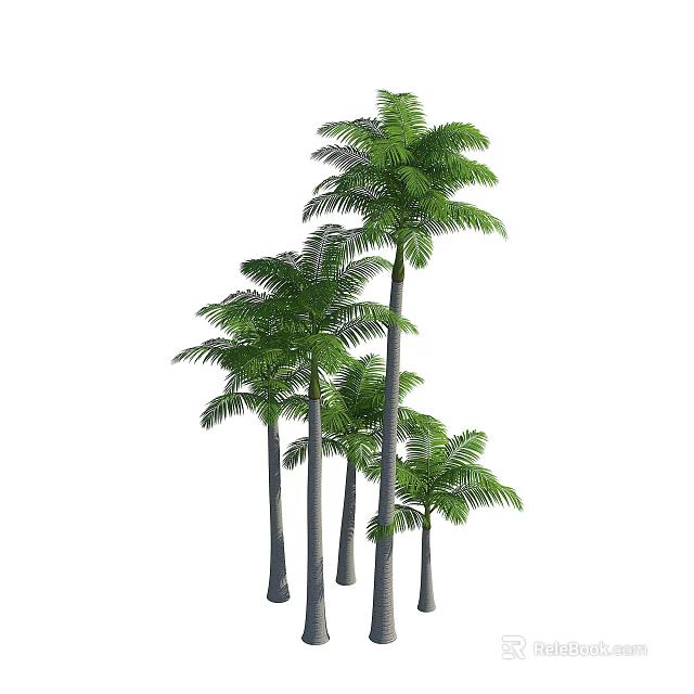 Multiple Tall Palm Trees With Slender Trunks And Lush Green Fronds 3d model 