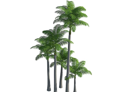Multiple Tall Palm Trees With Slender Trunks And Lush Green Fronds 3d model