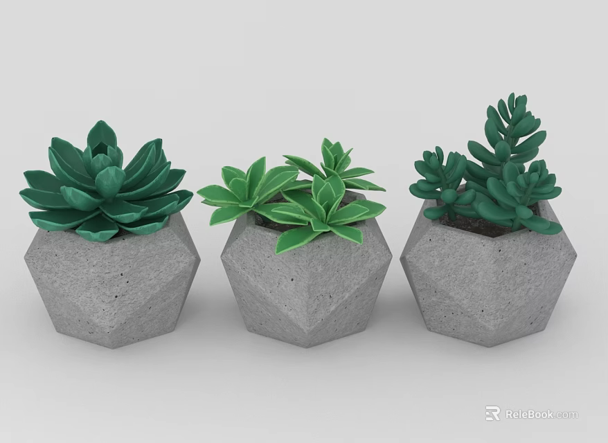 Three Green Succulent Plants in Hexagonal Concrete Pots 3d model 