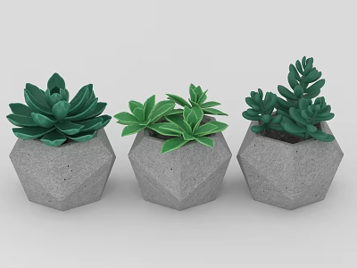 Three Green Succulent Plants in Hexagonal Concrete Pots 3d model