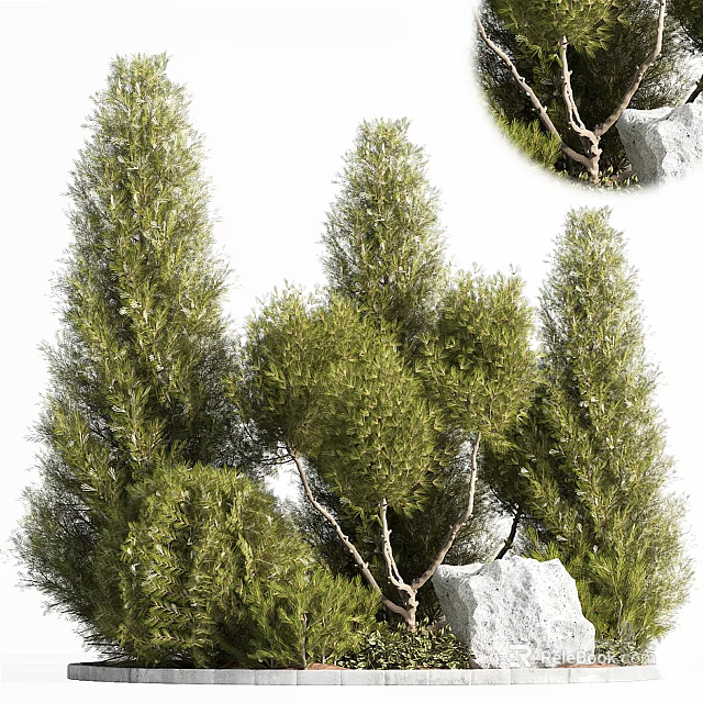 Lush Green Flowers and Thriving Plants in Natural Outdoor Garden with Rocks and Fresh Leaves 3d model 
