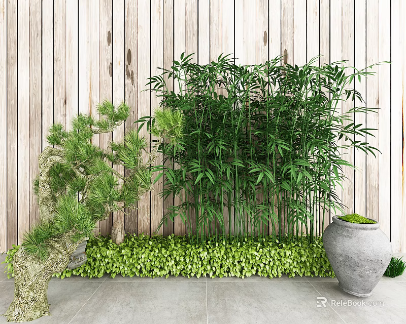 Bamboo and Pine Tree with Low Green Plants and Clay Pot Against Wooden Wall 3d model 