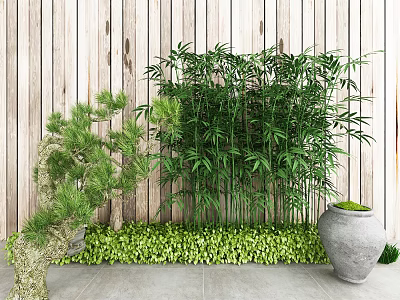 Bamboo and Pine Tree with Low Green Plants and Clay Pot Against Wooden Wall 3d model