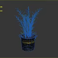 Green Plant with Slender Green Leaves in Black Bucket Featuring Yellow Stripes against Gray Background