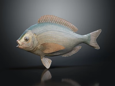 Realistic Green And Orange Fish With Shiny Scales Fins And Tail On Dark Background 3d model