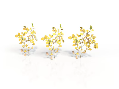 Three Decorative Plants With Yellow And Green Leaves On White Background 3d model