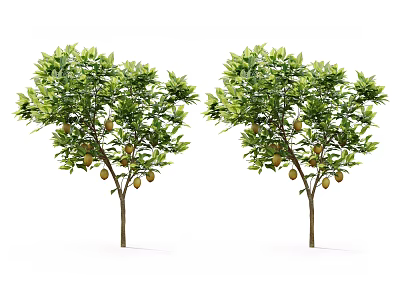 Vibrant Arbor Trees With Lush Green Leaves And Ripe Yellow Fruits 3d model