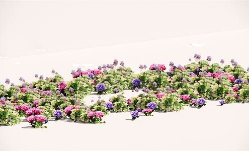 Modern Flower Border Plant Group 3d model