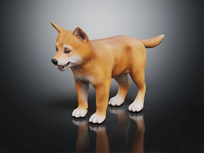 Cute Brown Shiba Inu Puppy Standing With White Paws On Dark Reflective Surface 3d model