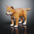 Cute Brown Shiba Inu Puppy Standing With White Paws On Dark Reflective Surface