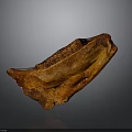 Brown Animal Bone Structure With Textured Surface And Hair Follicle Traces