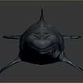 Detailed Realistic 3D Rendered Whale on Dark Background with Subtle Reflection