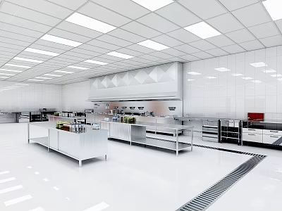 Modern Commercial Kitchen With Stainless Steel Workstations Cabinets Ventilation Hood And White Tile Walls 3d model