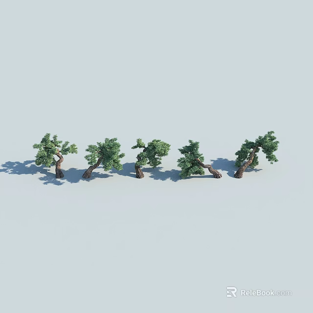 Five Green Trees With Different Postures And Clear Trunks On Light Background 3d model