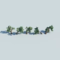 Five Green Trees With Different Postures And Clear Trunks On Light Background 3d model