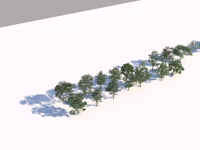 Row of Neatly Arranged Arbor Trees in Open Flat Area with Shadows 3d model