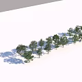 Row of Neatly Arranged Arbor Trees in Open Flat Area with Shadows