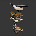 Colorful Bird and Poultry Figurines With Flying and Standing Positions on Black Background