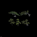 Various Bonsai Style Trees With Curved Branches Lush Green Foliage And Exposed Roots