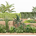 Bonsai and Potted Plants Garden Design Featuring Green Wall And Wooden Planters
