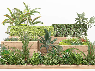 Bonsai and Potted Plants Garden Design Featuring Green Wall And Wooden Planters 3d model