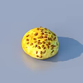 Black Tray With Six Yellow Spotted Round Pastries For Daily Use