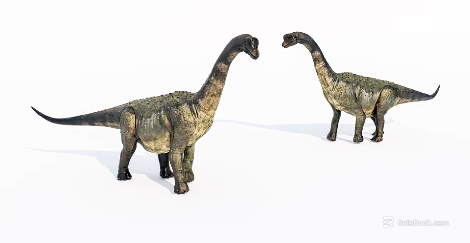 Two Reptile Dinosaur Models With Long Necks Facing Each Other And Detailed Skin 3d model 