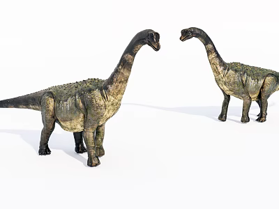 Two Reptile Dinosaur Models With Long Necks Facing Each Other And Detailed Skin 3d model