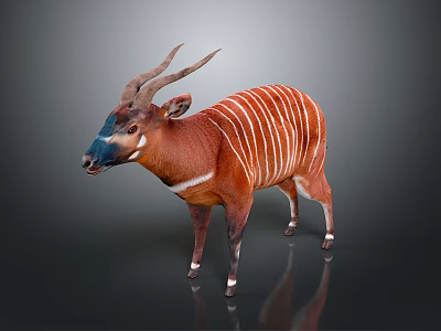Okapi Wild Animal With Reddish Brown Coat White Stripes Horns And Distinctive Facial Markings 3d model