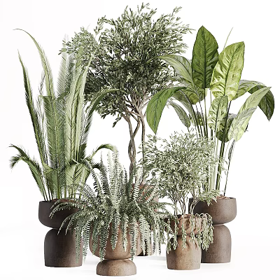 Various Indoor Green Plants with Different Leaf Shapes and Potted Arrangements 3d model