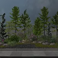 Garden Flowers and Plants in Landscape with Trees Shrubs Gravel Grass and Background Wall