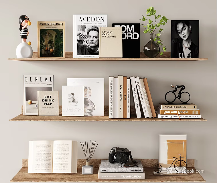 Curated Books Magazines On Shelves With Open Book Plant And Camera Decor 3d model 