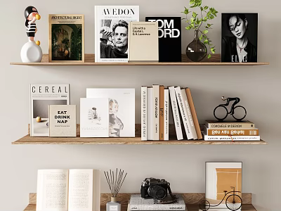 Curated Books Magazines On Shelves With Open Book Plant And Camera Decor 3d model