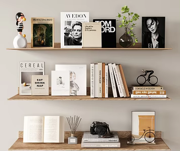 Modern Books and Periodicals Current Disadvantages Magazines Books Portfolio Magazines 3d model