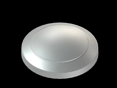 Smooth Silver Round Disk With Polished Surface And Circular Edge Design 3d model