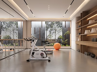 Modern Home Gym Interior With Fitness Equipment And Exercise Ball 3d model