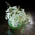 Green Glass Vase With White Small Flowers And Slender Branches On Black Background