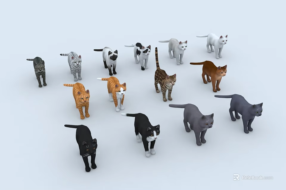 Various Reptile Species In Different Colors And Patterns On White Background 3d model