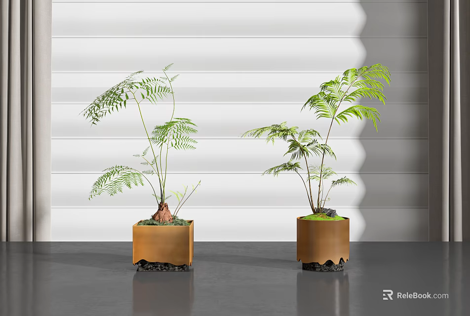 Fern Bonsai Plants In Copper Square Pots On Gray Floor With White Louvered Background 3d model 