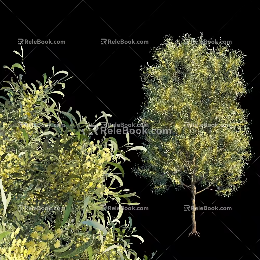 Landscape trees, big trees, street trees 3d model