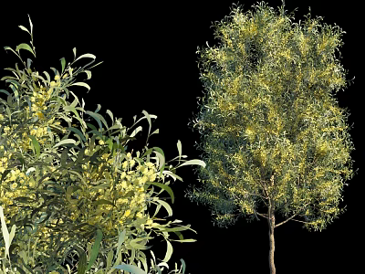 Landscape trees, big trees, street trees 3d model