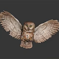 Brown and White Owl With Spread Wings Flying Against Dark Background With Reflection 3d model