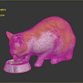 Orange and white cat eating food from a bowl on a black surface in studio setting