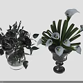 Flower Arrangements Featuring Black Roses In Transparent Vase And White Calla Lilies In Black Vase