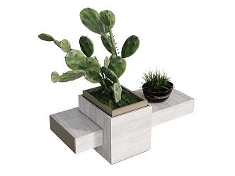 Plant combination plant box cactus tropical plant haystack 3d model