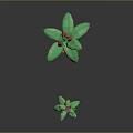 Cartoon Style Plants Featuring Curved Green Stems Yellow Lanterns Red Flowers And Orange Bases
