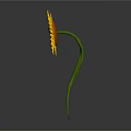 Anthropomorphic Sunflower Character Featuring Angry Face Green Stem Arms And Legs