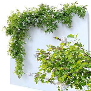 Modern Vine Wall Creeper Vine 3d model