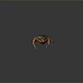 Colorful Decorative Beetle With Green Back Red Spots And Orange Legs